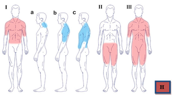 biomedres-openaccess-journal-bjstr