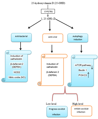 biomedres-openaccess-journal-bjstr