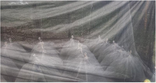 biomedres-openaccess-journal-bjstr