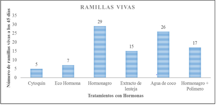 biomedres-openaccess-journal-bjstr