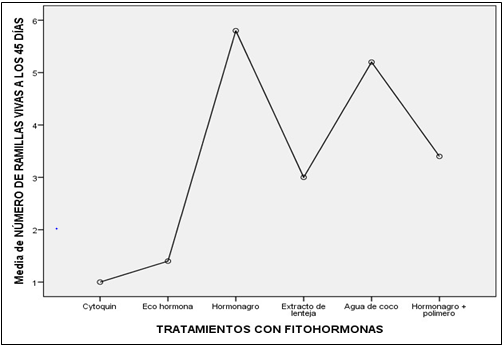 biomedres-openaccess-journal-bjstr