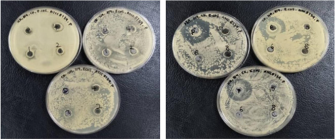 biomedres-openaccess-journal-bjstr