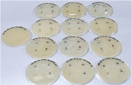 biomedres-openaccess-journal-bjstr