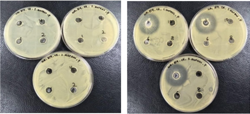 biomedres-openaccess-journal-bjstr