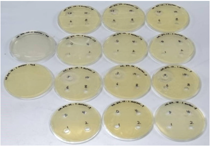 biomedres-openaccess-journal-bjstr