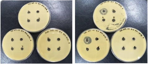 biomedres-openaccess-journal-bjstr