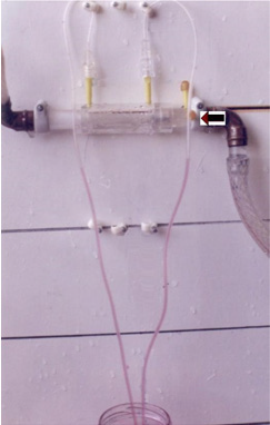 biomedres-openaccess-journal-bjstr