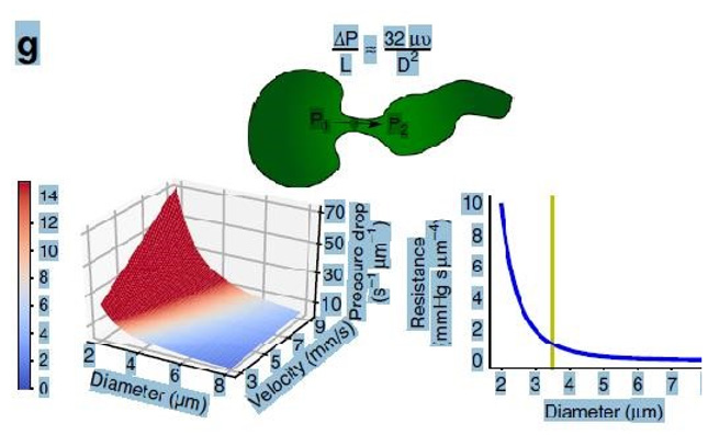 biomedres-openaccess-journal-bjstr