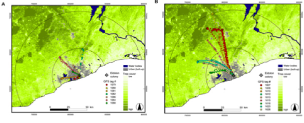 biomedres-openaccess-journal-bjstr