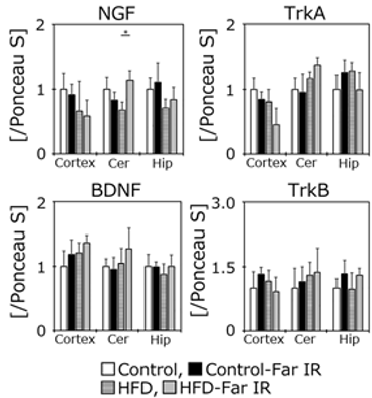 biomedres-openaccess-journal-bjstr