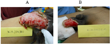 biomedres-openaccess-journal-bjstr