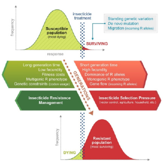 biomedres-openaccess-journal-bjstr