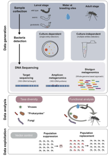 biomedres-openaccess-journal-bjstr