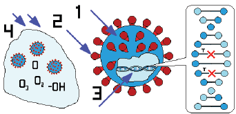 biomedres-openaccess-journal-bjstr