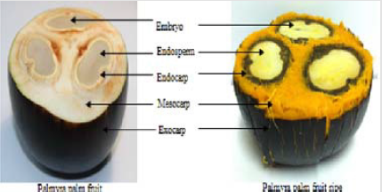biomedres-openaccess-journal-bjstr
