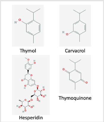 biomedres-openaccess-journal-bjstr