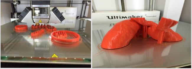 biomedres-openaccess-journal-bjstr