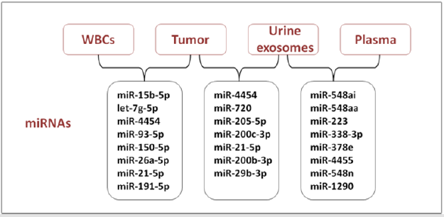 biomedres-openaccess-journal-bjstr