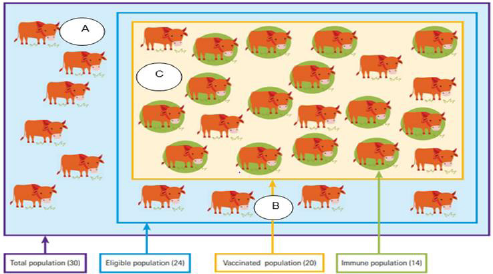 biomedres-openaccess-journal-bjstr