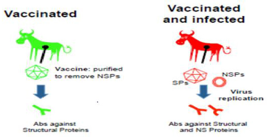 biomedres-openaccess-journal-bjstr
