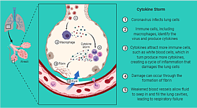 biomedres-openaccess-journal-bjstr