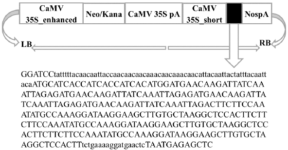 biomedres-openaccess-journal-bjstr