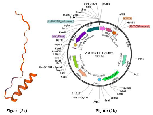 biomedres-openaccess-journal-bjstr