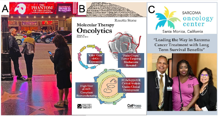 biomedres-openaccess-journal-bjstr