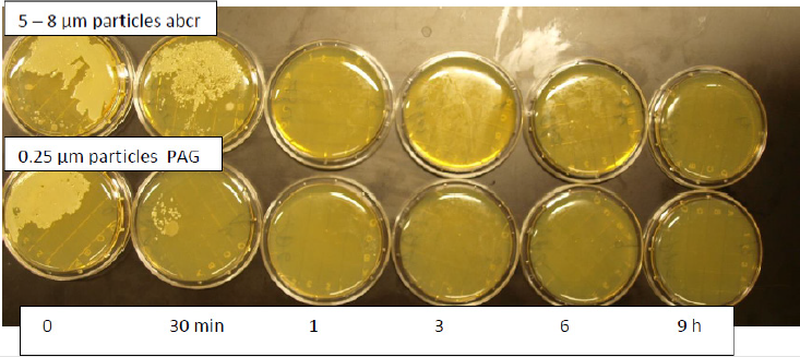biomedres-openaccess-journal-bjstr