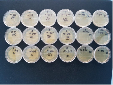 biomedres-openaccess-journal-bjstr