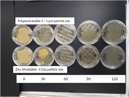 biomedres-openaccess-journal-bjstr