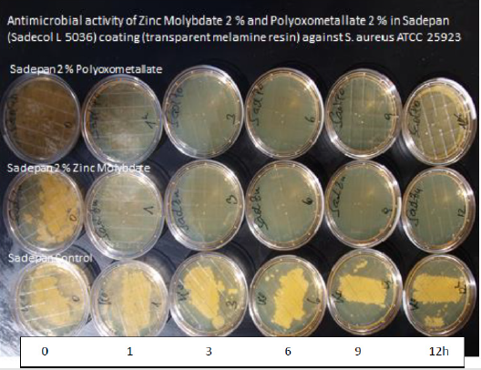 biomedres-openaccess-journal-bjstr