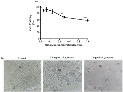 biomedres-openaccess-journal-bjstr