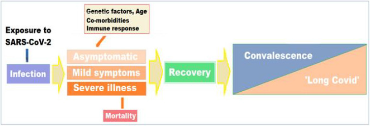 biomedres-openaccess-journal-bjstr