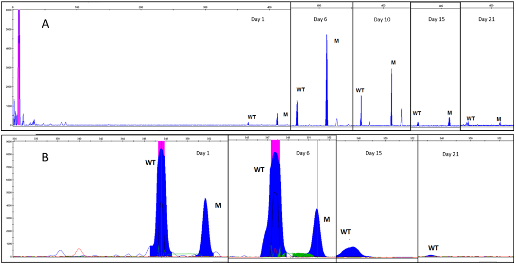 biomedres-openaccess-journal-bjstr
