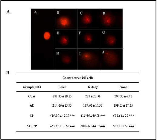 biomedres-openaccess-journal-bjstr