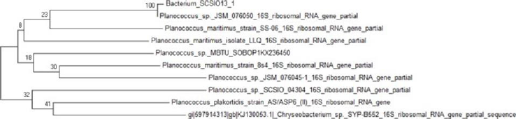 biomedres-openaccess-journal-bjstr