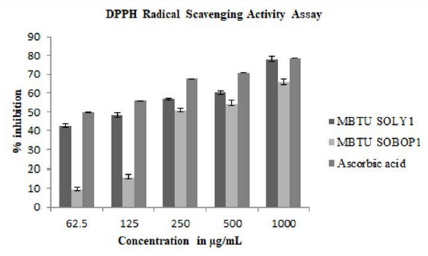 biomedres-openaccess-journal-bjstr