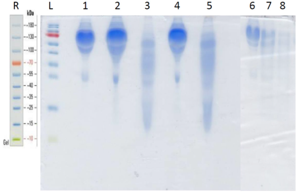 biomedres-openaccess-journal-bjstr