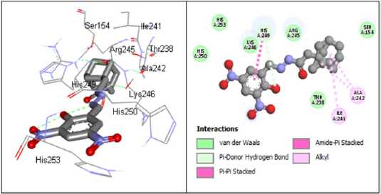 biomedres-openaccess-journal-bjstr