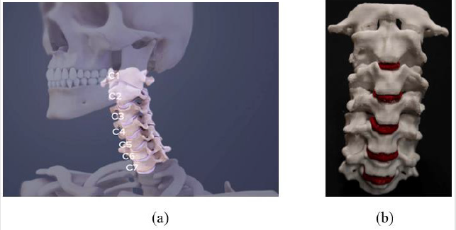 biomedres-openaccess-journal-bjstr