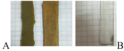 biomedres-openaccess-journal-bjstr