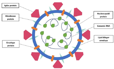 biomedres-openaccess-journal-bjstr