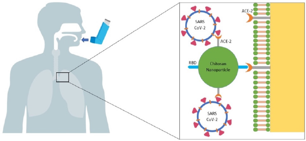 biomedres-openaccess-journal-bjstr