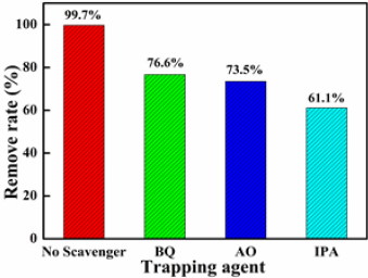 biomedres-openaccess-journal-bjstr