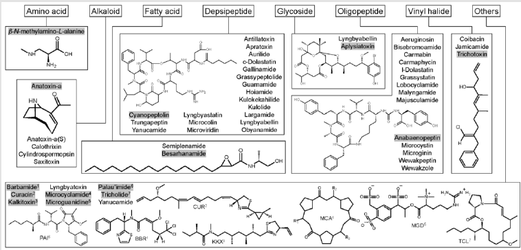 biomedres-openaccess-journal-bjstr