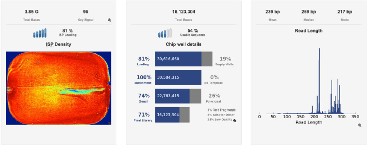biomedres-openaccess-journal-bjstr