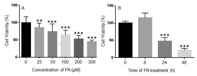 biomedres-openaccess-journal-bjstr