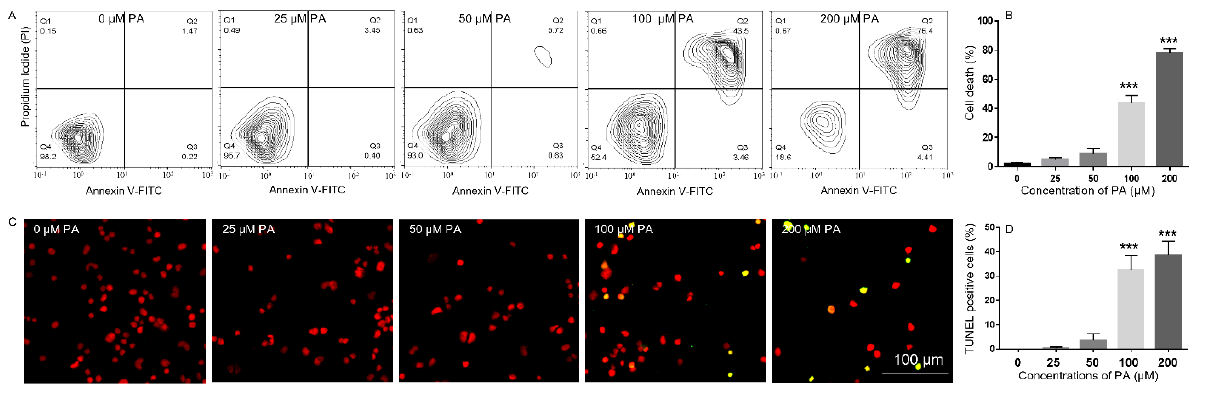 biomedres-openaccess-journal-bjstr