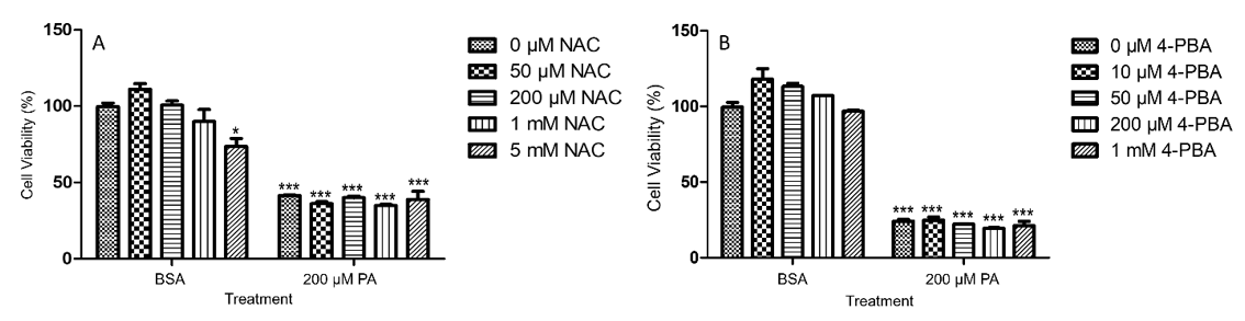 biomedres-openaccess-journal-bjstr